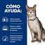 12 sobres x 85 g Hill's Prescription k/d Diet Kidney Care Salmón sobre en salsa para gatos, , large indicador imagen numero 5